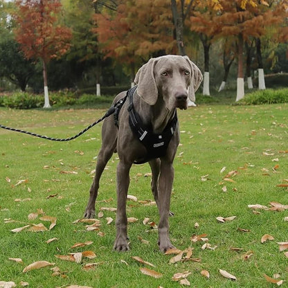 Dog Harness No Pull Adjustable Reflective,for Medium and Large Small Dog with Leash 59.06in (Black, S)