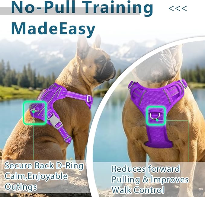 BARKBAY Dog Harness No Pull with ID Tag Pocket - Heavy Duty, Reflective, Easy Control for Large Dogs(Purple,XL)