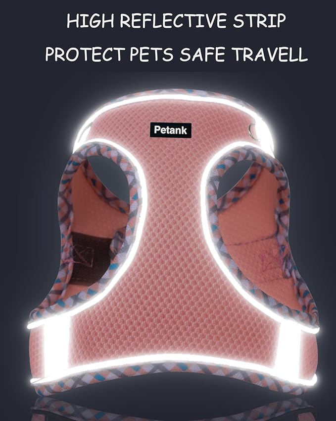 Petank Dog Harness for Small Medium Dogs No Pull, Puppy Harness and Leash Set, Step in Dog Harness for Walking, Running, Training, Small Dog Vest, Medium Dog Vest (Light Blue, M)