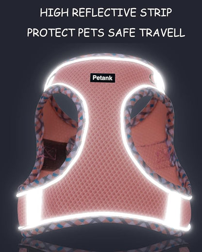 Petank Dog Harness for Small Medium Dogs No Pull, Puppy Harness and Leash Set, Step in Dog Harness for Walking, Running, Training, Small Dog Vest, Medium Dog Vest (Bule, XS)