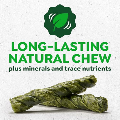 Greenies Occupy Twists Natural Dog Treats Petite Size Dog Chews Long Lasting Chicken Flavor, 17.5 oz. Pack, 20 Count