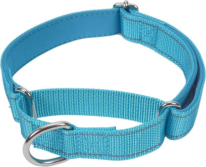 SGODA Martingale Dog Collar, Reflective Nylon Padded Dog Training Collars for Medium Dogs, Blue M