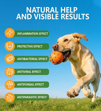 Natural Antibiotics for Dogs, Dog Allergy Supplies Antibiotics, Dog Multivitamin for Pets, Dog Itch Relief,Dog Multivitamin,Natural Dog Antibiotics Supports Dog Allergy and Itch Relief