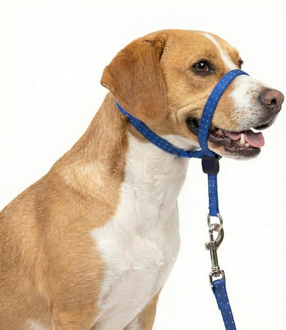 Headcollar for Dogs, Extra Soft Padded, Reflective, No Pull Dog Collar, Gentle Leader for Dogs with Durable Nylon Leash, Padded Handle - Navy Blue (Medium)