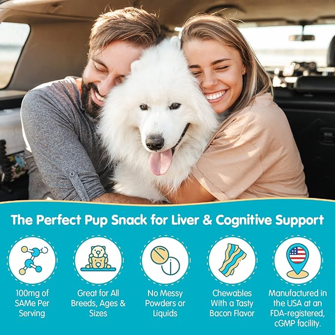 Wanderfound Pets Same 100 Liver Support for Dogs - Same S-Adenosyl-L-Methionine Hepatic Supplement for Liver & Brain Support - Bacon Flavored Sam E, Manufactured in the USA - 30 Chewable Tablets