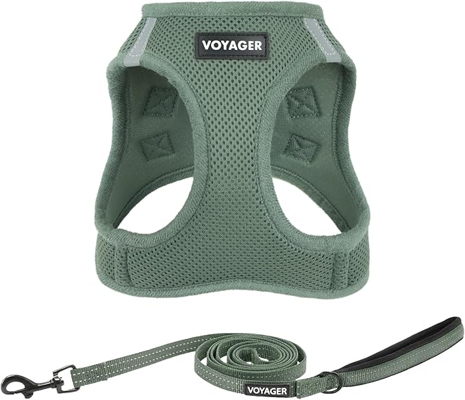 Best Pet Supplies Voyager Step-in Air All Weather Mesh Harness and Reflective Dog 5ft Leash Combo with Neoprene Handle, for Small, Medium and Large Breed Puppies - Set (Moss Green), Medium
