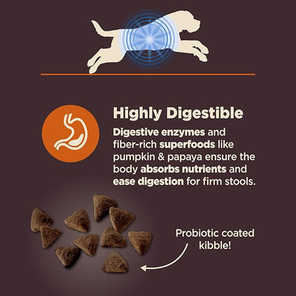 Wellness CORE Digestive Health Large Breed Adult Dry Dog Food, Wholesome Grain Kibble, Sensitive Stomach, Natural, High Protein, Chicken and Brown Rice Recipe, 24 lb Bag
