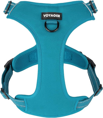 Voyager Dog Harness Dual Leash Attachment No-Pull Control Adjustable Soft but Strong Pet Harness for Medium and Large Dogs with 3M Reflective Technology, Turquoise Nylon, M (Chest: 20-25")