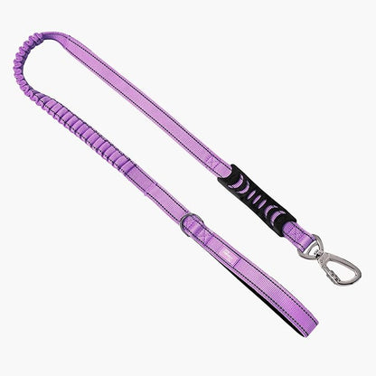 Dog Friendly Co. Bungee Dog Leash | Strain Free & Shock Resistant for Control | Neoprene Padded Handle, Heavy-Duty Carabiner Clip, and D-Ring | Purple, Size Small
