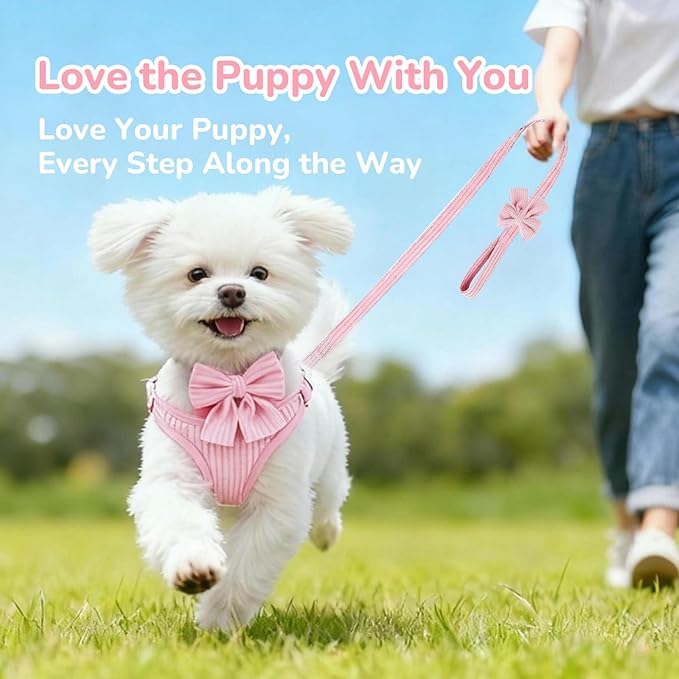 Small Dog Collar Harness and Leash Set, Dog Harness no Pull with Bowtie, Breathable Cotton Adjustable Pet Puppy Harness, Easy Walk Dog Harness, M(16-21")