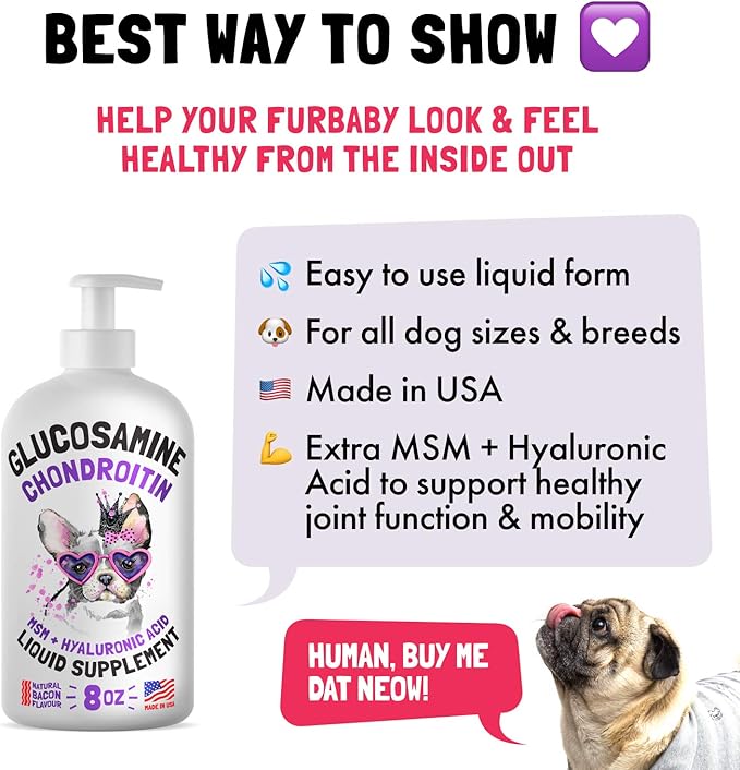 Cranberry UTI Chews for Dogs Bladder Support + D-Mannose Supports Kidney Urinary Tract 30 Chews and Liquid Glucosamine for Dogs Bacon Flavour with Chondroitin, MSM & Hyaluronic Acid 8 oz