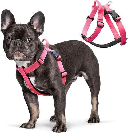 Galaxy Reflective Dog Harness,Adjustable 4-Point Fit,Anti-Pinch Buckles,Back-Clip Control & Emergency Handle,Velvet Lined for Small, Medium and Large Dogs, (Pink, S)