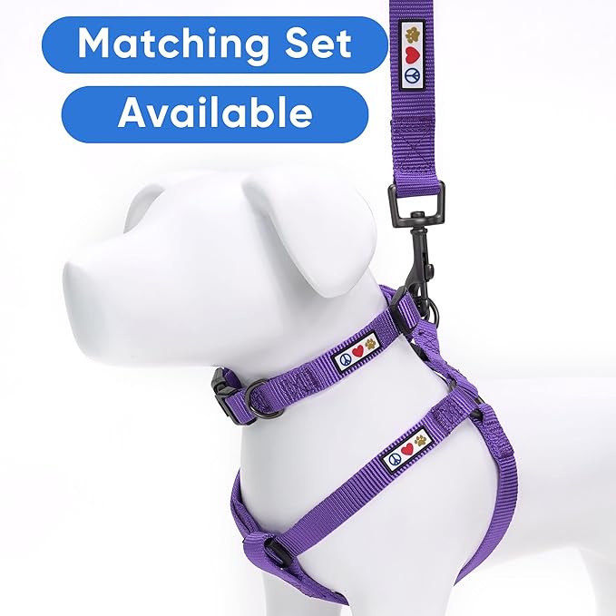 Pawtitas Personalized 6 ft Purple Dog Leash XXS/Cat Custom Name and Phone Embroidery Strong Nylon Leash for Small Breeds