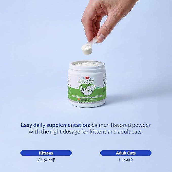 Milk Thistle for Cats - Liver and Kidney Support - Hepatic Support with EPA & DHA - Detox - Liver Supplement with Choline and L-Arginine (Powder for Cats)