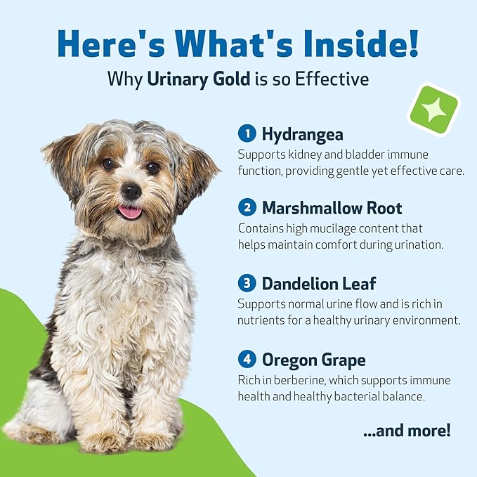 Pet Wellbeing Urinary Gold for Dogs - Vet-Formulated Multi-Herb Urinary Tract Support - Bladder Health & Urinary System Wellness - Natural Dog Supplement - 2 oz (59ml) (4 fl oz (118 ml))