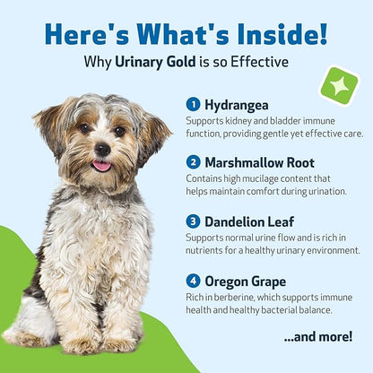 Pet Wellbeing Urinary Gold for Dogs - Vet-Formulated Multi-Herb Urinary Tract Support - Bladder Health & Urinary System Wellness - Natural Dog Supplement - 2 oz (59ml) (4 fl oz (118 ml))
