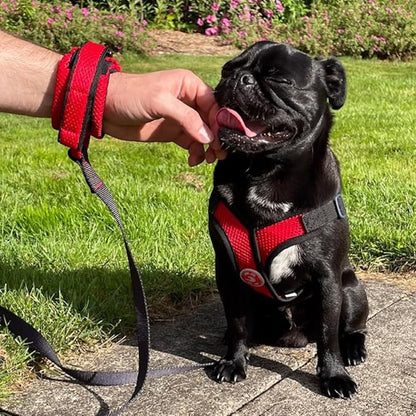 Gooby Soft Mesh Wrist Band Surfer Leash - Brown, 6 FT - Comfortable Hands Free Leash with Elastic Band for Small, Medium and Large Dogs