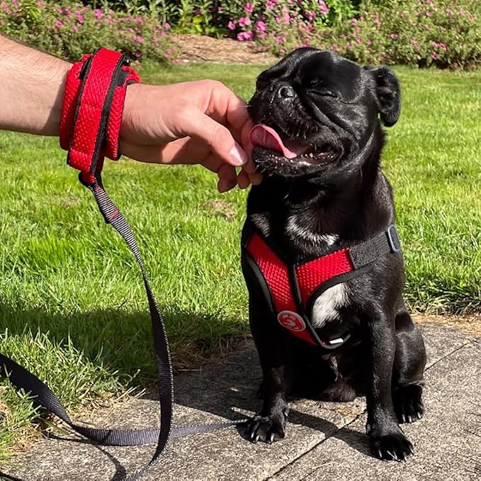 Gooby Soft Mesh Wrist Band Surfer Leash - Lime, 6 FT - Comfortable Hands Free Leash with Elastic Band for Small, Medium and Large Dogs