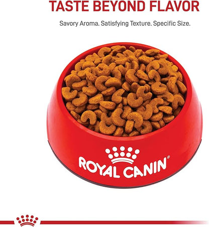 Royal Canin Breed Health Nutrition French Bulldog Puppy Dry Dog Food, 10.5 lb Bag