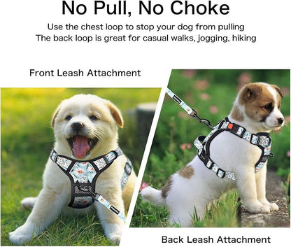 Petmolico No Pull Dog Harness Set with Leash Attachment Easy Control Handle Reflective Harness Vest Small Breed, Puppy Vest and Leash Set with Poop Bag Holder, Small - Daisy