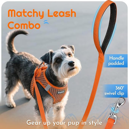 Eagloo Small Dog Harness and Leash Set, Step in Puppy Vest with Breathable Soft Mesh, Walking Reflective Pet Harness for Small Dogs, Orange, M