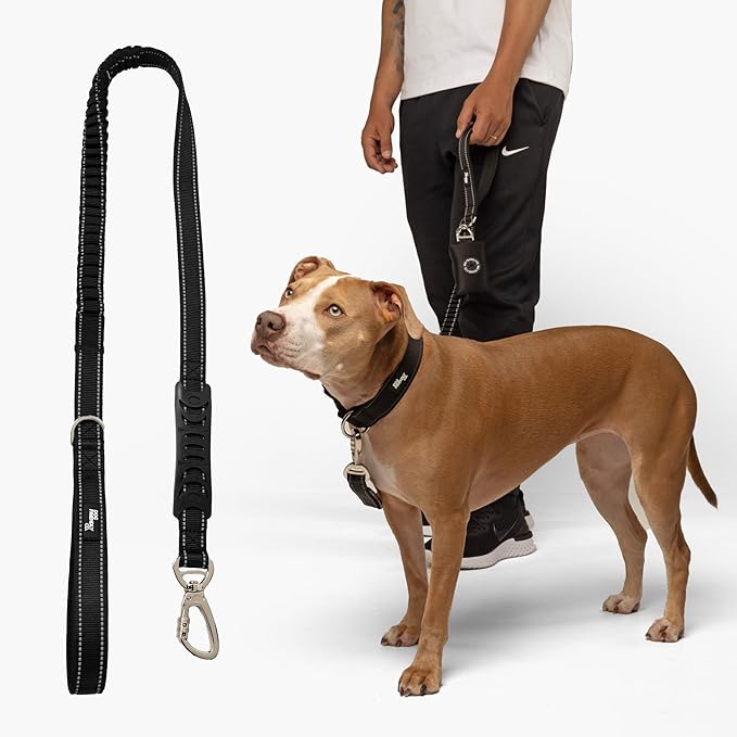 Dog Friendly Co. Bungee Dog Leash | Strain Free & Shock Resistant for Control | Neoprene Padded Handle, Heavy-Duty Carabiner Clip, and D-Ring | Black, Size Regular