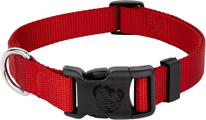 Country Brook Petz - Everyday Nylon Dog Collar for Large, Medium, and Small Dogs and Puppies - for Everyday Use in 10+ Warm Colors (3XS, 3/8 Inch Wide, Red)