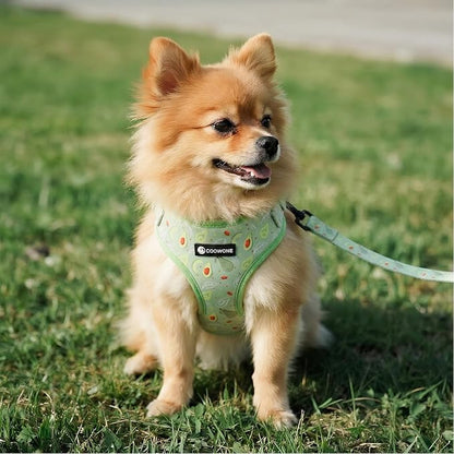 Dog Harness and Leash Set, Adjustable Dog Harness, Dog Leash, No Pull No Choke Puppy Harnesses for Walking Training for Small Medium Pet