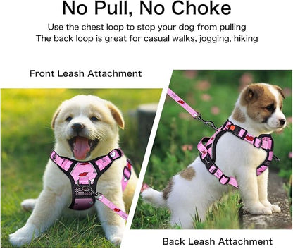 Petmolico No Pull Dog Harness Set with Leash Attachment Easy Control Handle Reflective Harness Vest Small Breed, Puppy Vest and Leash Set with Poop Bag Holder, Medium - Red Lips