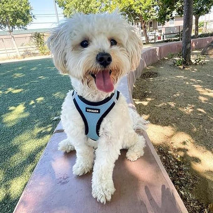Best Pet Supplies - All Weather Mesh / Plush, Reflective, No Pull Harness for Small, Medium Dogs, Cats - Secure with Hook & Loop Fastener, Buckle, Double D-Rings - Baby Blue/Black Trim, XL