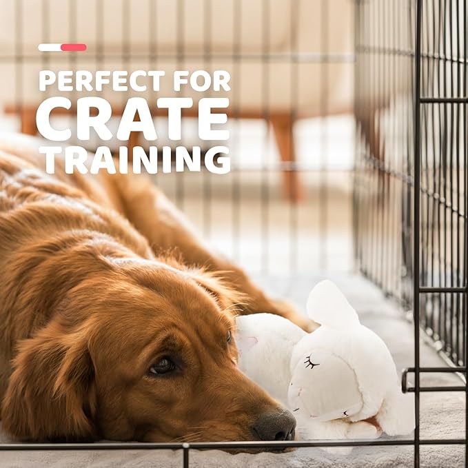 ALL FOR PAWS Heartbeat Dog Toy for Puppy - Dog Anxiety Relief & Behavioral Training | Puppy Heartbeat Stuffed Animal Plush Toy | Perfect for Dog Sleep Aid