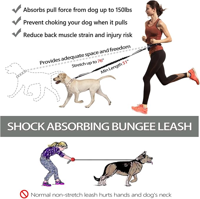 LANNEY Hands Free Dog Leash, Waist Running Leash with Zipper, Walking Pouch for Medium Large Dogs, Dual Handle and Retractable Bungee for Training Jogging Hiking(25-120 lbs, Grey)