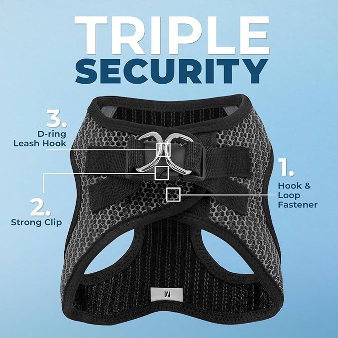 Best Pet Supplies Voyager Step-in Air All Weather Mesh Harness and Reflective Dog 5ft Leash Combo with Neoprene Handle, for Small, Medium and Large Breed Puppies - Set (Gray 2-Tone), Large
