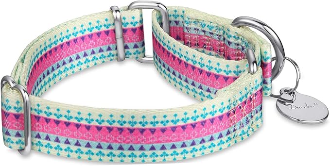 Puppy Collar Martingale Dog Collar - No Pull Anti-Escape Pet Collar for Small Dogs, Adjustable 11 Inch to 15.5 Inch, Candy Purple