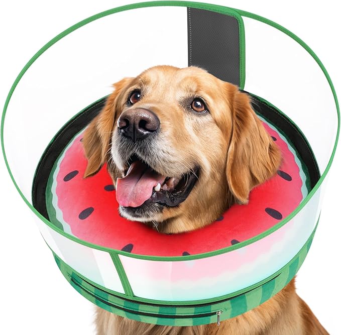 Inflatable Dog Cone with Anti-Licking Clear Shield, Protective Dog Donut Collar After Surgery, Adjustable Soft Recovery Cone for Pets, Alternative Collar with Buckle Strap (Watermelon, M)