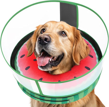 Inflatable Dog Cone with Anti-Licking Clear Shield, Protective Dog Donut Collar After Surgery, Adjustable Soft Recovery Cone for Pets, Alternative Collar with Buckle Strap (Watermelon, M)