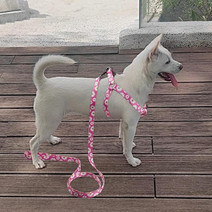 QQPETS Dog Harness Leash Set Adjustable Heavy Duty No Pull Halter Harnesses for Small Medium Large Breed Dogs Back Clip Anti-Twist Perfect for Walking (L(23"-32" Chest Girth), Daisy)