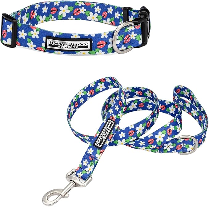 Lucky Love Dog - Easy Click Buckle Dog Collar with Leash Set Combo, Durable & Comfortable for Male & Female Dogs, Pet Collar for Medium Dogs, Secure Fit - Lilian Combo, Medium