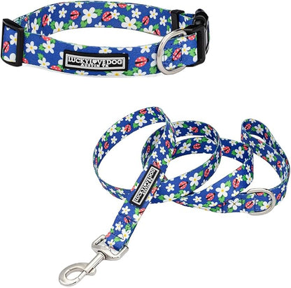 Lucky Love Dog - Easy Click Buckle Dog Collar with Leash Set Combo, Durable & Comfortable for Male & Female Dogs, Pet Collar for Small Dogs, Secure Fit - Lilian Combo, Small