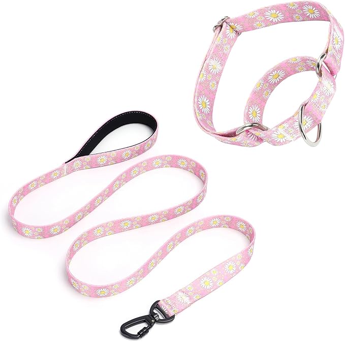 Pink Martingale Dog Collar and Leash Set for Female Dogs, Cute Daisy Pattern Girl Dog Collar, Adjustable Soft Durable Pet Collar with 5ft Matching Leash for Small Medium Large Dogs