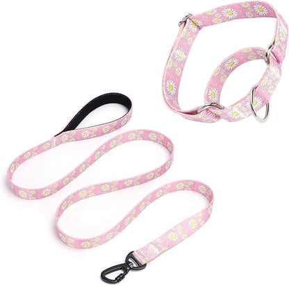 Pink Martingale Dog Collar and Leash Set for Female Dogs, Cute Daisy Pattern Girl Dog Collar, Adjustable Soft Durable Pet Collar with 5ft Matching Leash for Small Medium Large Dogs