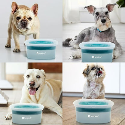 LumoLeaf No Spill Water Bowl for Dogs, Slow Feeder for Messy Drinkers, Drip-Free & Splash-Proof Design (Blue, 70oz).