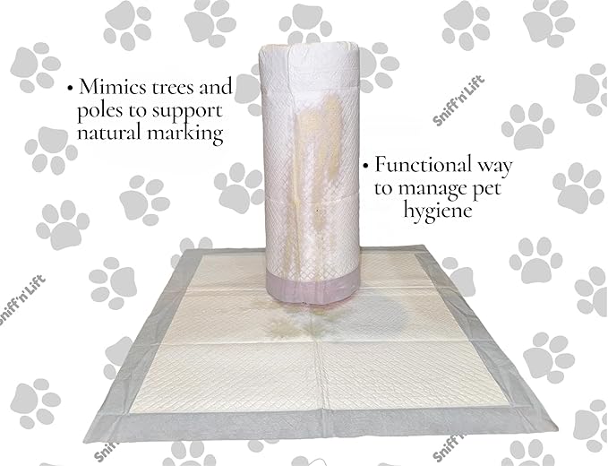 Indoor Dog Pee Post | Provides a Target to Aim | Keeps Pee on Pad | Training Aid | for All Dog Sizes