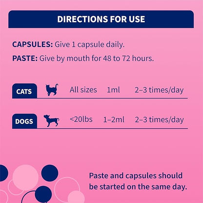 Nutramax Proviable Probiotics for Small Dogs and Cats, Diarrhea Support Kit, Digestive Health Supplement with Multiple Strains of Bacteria, Plus Prebiotics, Kaolin and Pectin, 15 ml Paste and 10 Capsules