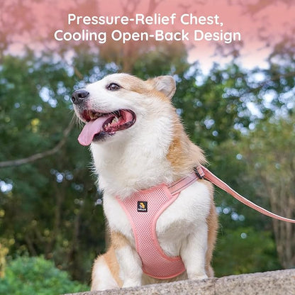 BELLA & PAL Adjustable Step-in Dog Harness, Puppy No-Pull Vest with Leash Set for XS/Small & Medium Dog, Breathable All-Weather Mesh, Reflective Strip, Secure Hook & Loop