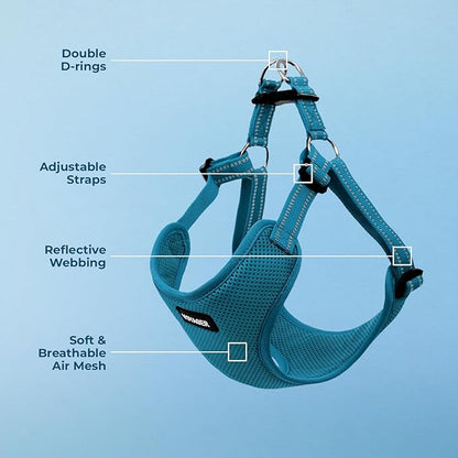 Best Pet Supplies Voyager Adjustable Step-in Flex Breathable Mesh Dog Harness for Small Medium Large Dogs (Turquoise), S