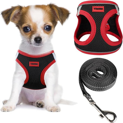 YIMEIS Dog Harness and Leash Set, No Pull Soft Mesh Pet Harness, Reflective Adjustable Puppy Vest for Small Medium Large Dogs, Cats (Black & red 01, Medium (Pack of 1)