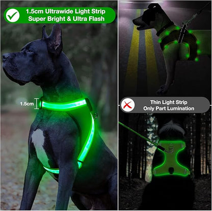 ChalkLit Light Up Dog Harness, No Pull Led Dog Harness Glow-in-The-Dark for Night Walking, USB Rechargeable Lighted Safety Vest for Medium Large Dogs, Adjustable Soft Mesh Fully Illuminated(Green, XL)