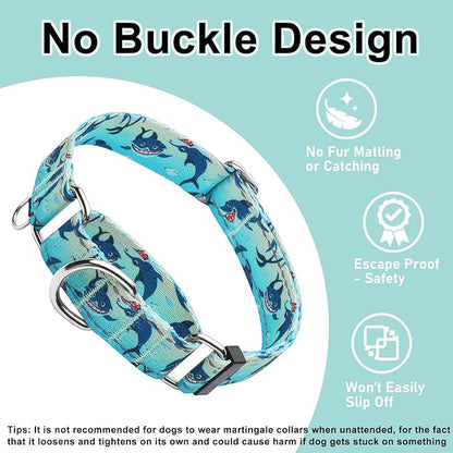 Reflective Martingale Collar for Dogs Nylon Training Collar with No Buckle, No Pull Boy Male Dog Collar for Medium Dogs（Green Shark，M）