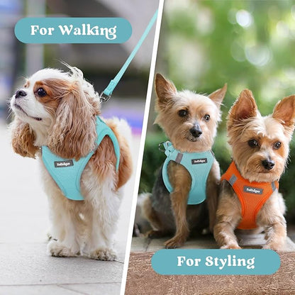 rabbitgoo Small Dog Harness, Step-in Soft Mesh Puppy Vest with Safety Buckle, Breathable Reflective Pet Harness for Extra Small Dogs, Mint Blue XXXS